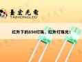 红外下的850灯珠，红外灯珠光！