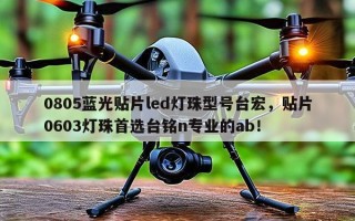 0805蓝光贴片led灯珠型号台宏，贴片0603灯珠首选台铭n专业的ab！