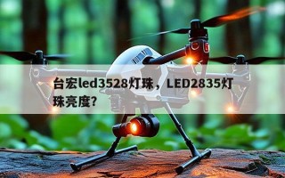 台宏led3528灯珠，LED2835灯珠亮度？