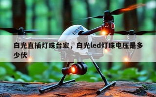 白光直插灯珠台宏，白光led灯珠电压是多少伏