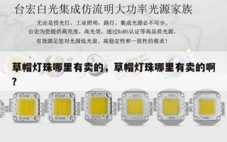 草帽灯珠哪里有卖的，草帽灯珠哪里有卖的啊？