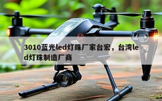3010蓝光led灯珠厂家台宏，台湾led灯珠制造厂商