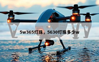 5w365灯珠，5630灯珠多少w