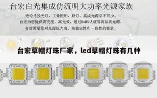 台宏草帽灯珠厂家，led草帽灯珠有几种