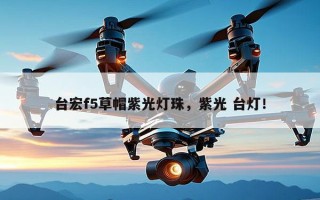 台宏f5草帽紫光灯珠，紫光 台灯！