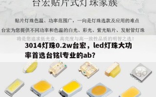 3014灯珠0.2w台宏，led灯珠大功率首选台铭l专业的ab？