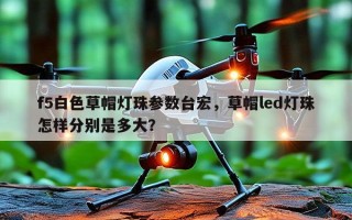 f5白色草帽灯珠参数台宏，草帽led灯珠怎样分别是多大？