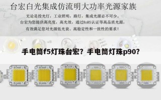 手电筒f5灯珠台宏？手电筒灯珠p90？