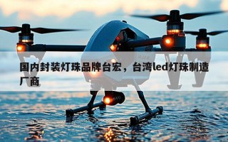 国内封装灯珠品牌台宏，台湾led灯珠制造厂商