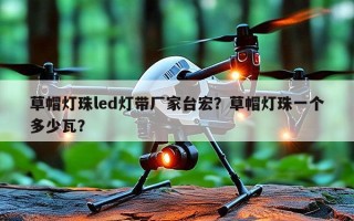 草帽灯珠led灯带厂家台宏？草帽灯珠一个多少瓦？