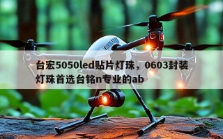 台宏5050led贴片灯珠，0603封装灯珠首选台铭n专业的ab