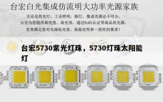 台宏5730紫光灯珠，5730灯珠太阳能灯