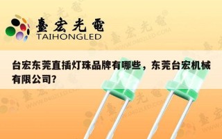 台宏东莞直插灯珠品牌有哪些，东莞台宏机械有限公司？