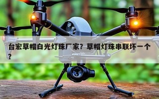 台宏草帽白光灯珠厂家？草帽灯珠串联坏一个？