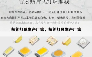 东莞灯珠生产厂家，东莞灯具生产厂家