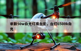 单颗50w白光灯珠台宏，台灯6500k白光