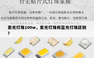 紫光灯珠100w，紫光灯珠和蓝光灯珠区别？