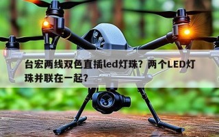 台宏两线双色直插led灯珠？两个LED灯珠并联在一起？