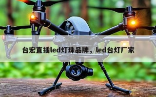 台宏直插led灯珠品牌，led台灯厂家