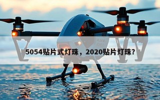5054贴片式灯珠，2020贴片灯珠？
