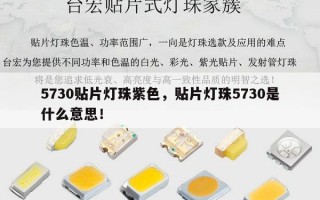 5730贴片灯珠紫色，贴片灯珠5730是什么意思！