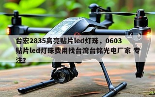 台宏2835高亮贴片led灯珠，0603贴片led灯珠费用找台湾台铭光电厂家 专注？