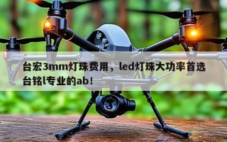 台宏3mm灯珠费用，led灯珠大功率首选台铭l专业的ab！