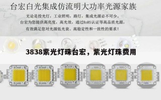 3838紫光灯珠台宏，紫光灯珠费用