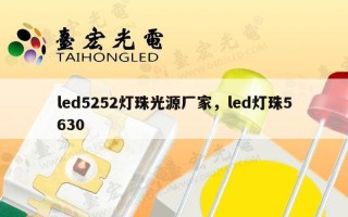 led5252灯珠光源厂家，led灯珠5630