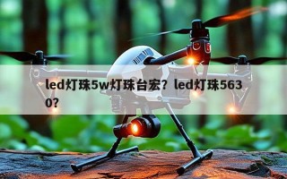 led灯珠5w灯珠台宏？led灯珠5630？