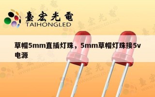 草帽5mm直插灯珠，5mm草帽灯珠接5v电源