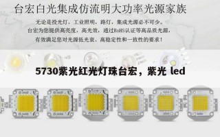5730紫光红光灯珠台宏，紫光 led
