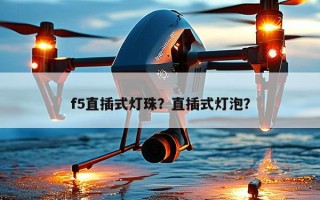 f5直插式灯珠？直插式灯泡？