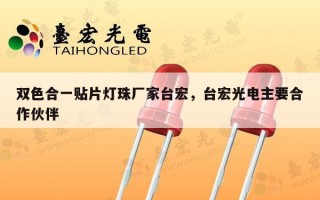 双色合一贴片灯珠厂家台宏，台宏光电主要合作伙伴
