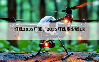 灯珠2835厂家，2835灯珠多少钱1k！