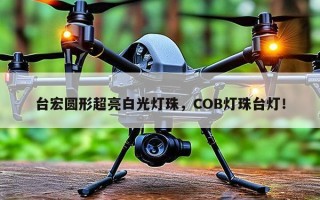 台宏圆形超亮白光灯珠，COB灯珠台灯！