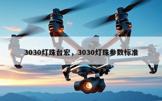 3030灯珠台宏，3030灯珠参数标准