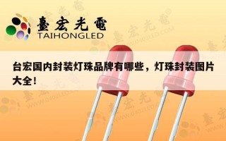 台宏国内封装灯珠品牌有哪些，灯珠封装图片大全！