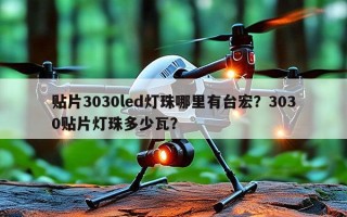 贴片3030led灯珠哪里有台宏？3030贴片灯珠多少瓦？