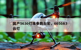 国产5630灯珠参数台宏，6050A3 台灯