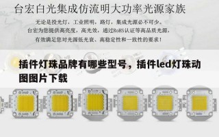 插件灯珠品牌有哪些型号，插件led灯珠动图图片下载
