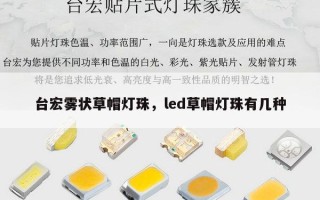台宏雾状草帽灯珠，led草帽灯珠有几种