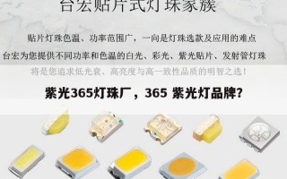 紫光365灯珠厂，365 紫光灯品牌？