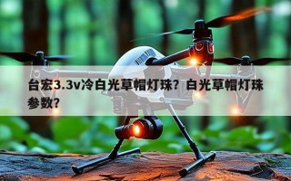 台宏3.3v冷白光草帽灯珠？白光草帽灯珠参数？