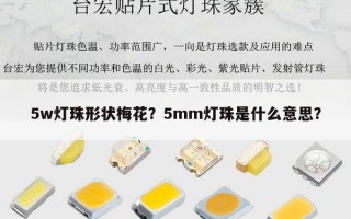 5w灯珠形状梅花？5mm灯珠是什么意思？