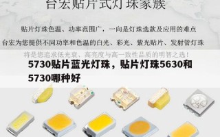 5730贴片蓝光灯珠，贴片灯珠5630和5730哪种好