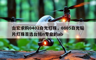 台宏求购0402白光灯珠，0805白光贴片灯珠首选台铭n专业的ab