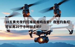 10瓦黄光夜钓灯珠能用吗台宏？夜光钓鱼灯可以用20个小时以上的？