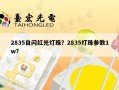 2835自闪红光灯珠？2835灯珠参数1w？