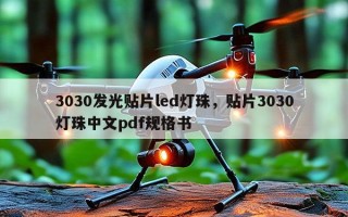 3030发光贴片led灯珠，贴片3030灯珠中文pdf规格书